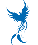 M.V. Resilienti s.r.l